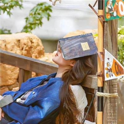 女总裁的顶流小娇夫